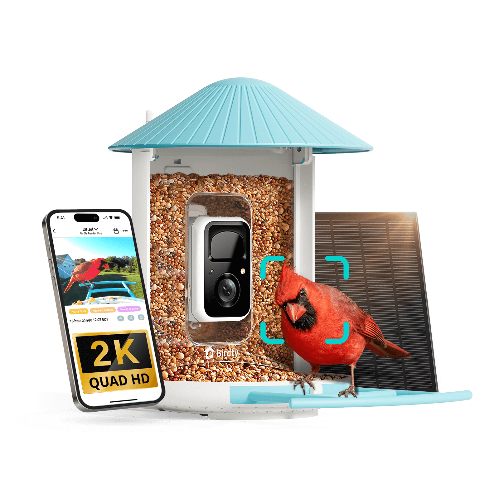 Birdfy Feeder with Solar Panel - Solar-Powered Smart Bird Feeder with Camera