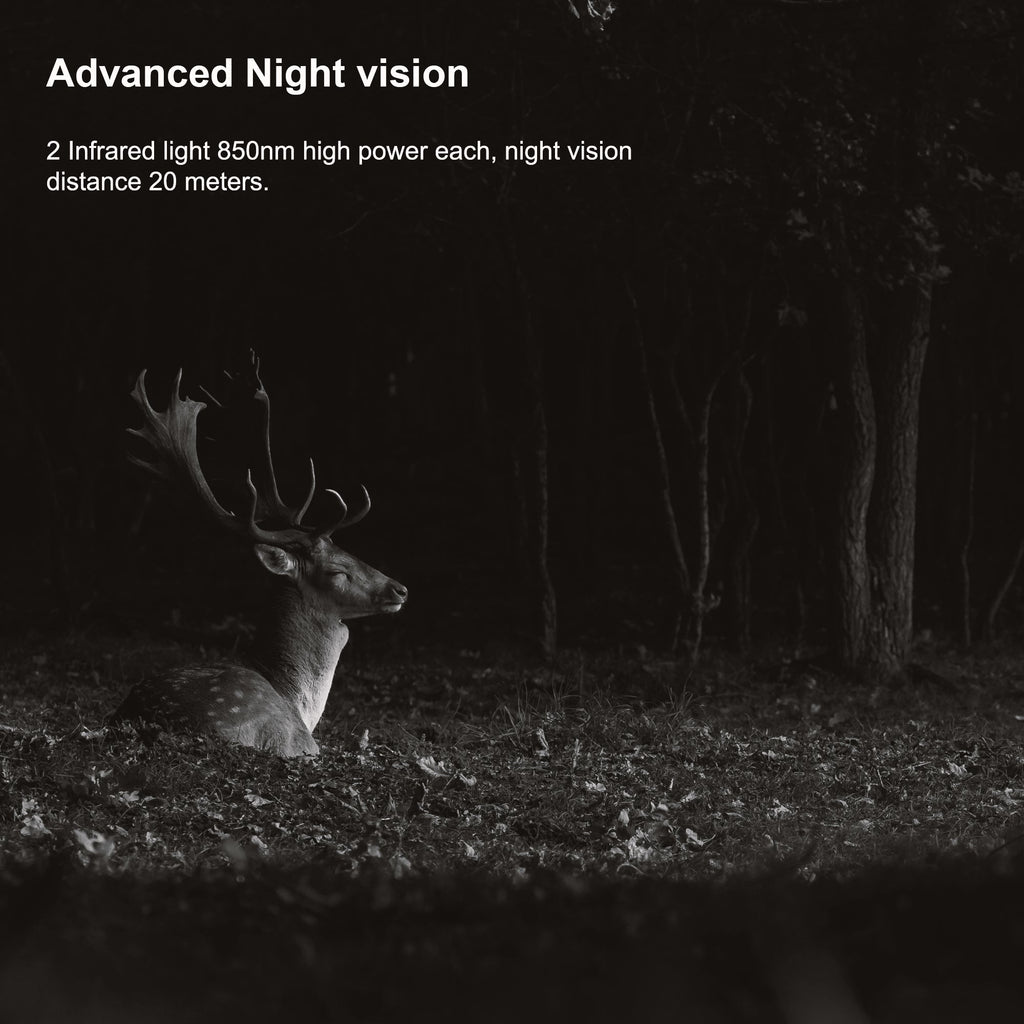 Rexing Woodlens H2 4K Wi-Fi Trail Camera (1 Pack)