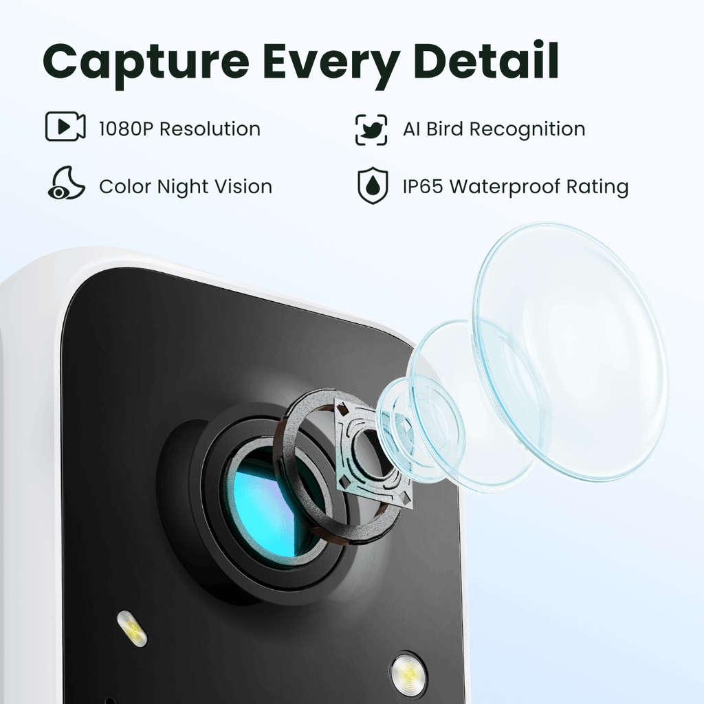 Birdfy Feeder with Solar Panel - Solar-Powered Smart Bird Feeder with Camera